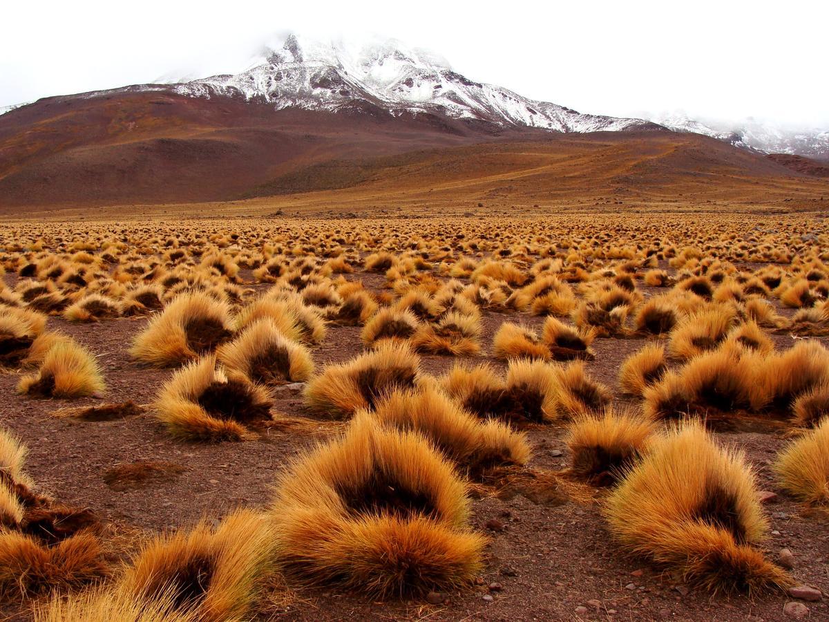 Hotel Maray Copiapó Zewnętrze zdjęcie